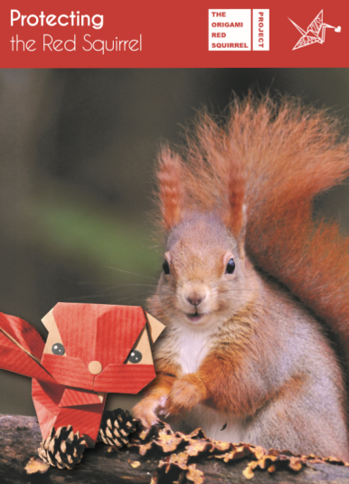 portada red squirrel